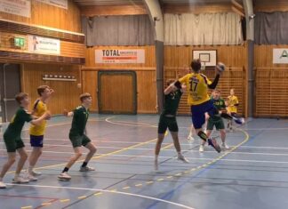 Мишел Поп Андонов: Секогаш би ја избрал Македонија пред Норвешка