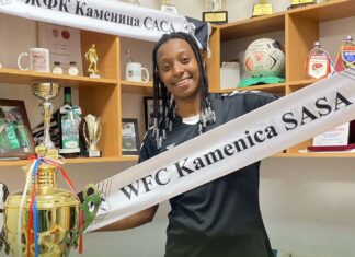 Фаргосо во нападот на Каменица