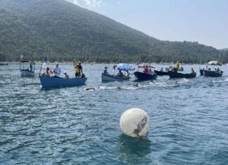 Традиционално на Илинден, се плива „малиот“ Охридски маратон
