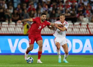 (ВИДЕО) Србија загуби од Унгарија, а Албанија одигра нерешено со Чешка