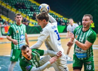 Е.Пелистер и Алкалоид во борба за пехарот во Купот на Македонија