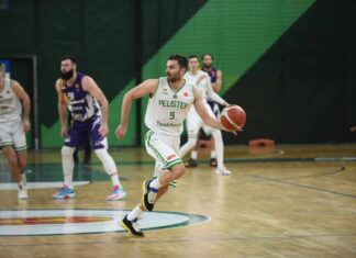 Пелистер очекувано подобар од Феникс