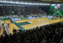 Двојна програма во Битола меѓу Е.Пелистер и тимовите од Автокоманда