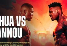 Ентони Џошуа против Френсис Нгану