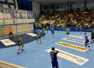 Победата и бодовите за Алкалоид, проблемите за првакот Е.Пелистер (ВИДЕО)