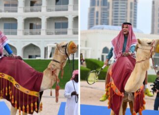 Ѓоковиќ и Алкараз играат тенис на камили како најава за турнирот во Доха (ВИДЕО)