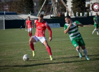 Струга ТЛ со играч повеќе го победи Пелистер (ВИДЕО)