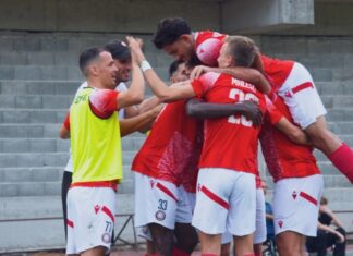 Струга ТЛ со многу мака и пресврт славеше кај Арсими (ВИДЕО)