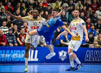 Алкалоид домаќин на Тиквеш, Бутел на Е.Пелистер