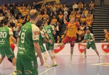 Еурофарм Пелистер остана не поразен, а можеше и да го победи ГОГ Гудме (ВИДЕО)