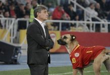Седлоски има решение за нова 9-ка во „Мурџо“ кому му прекипе, па изјави… (ВИДЕО)